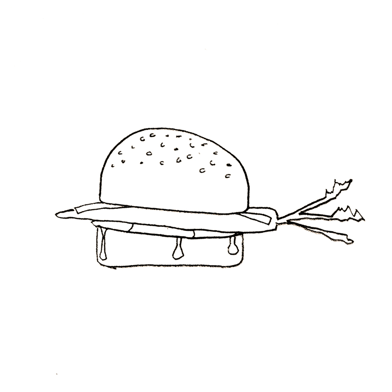 Frederik Busch - Möhrenburger