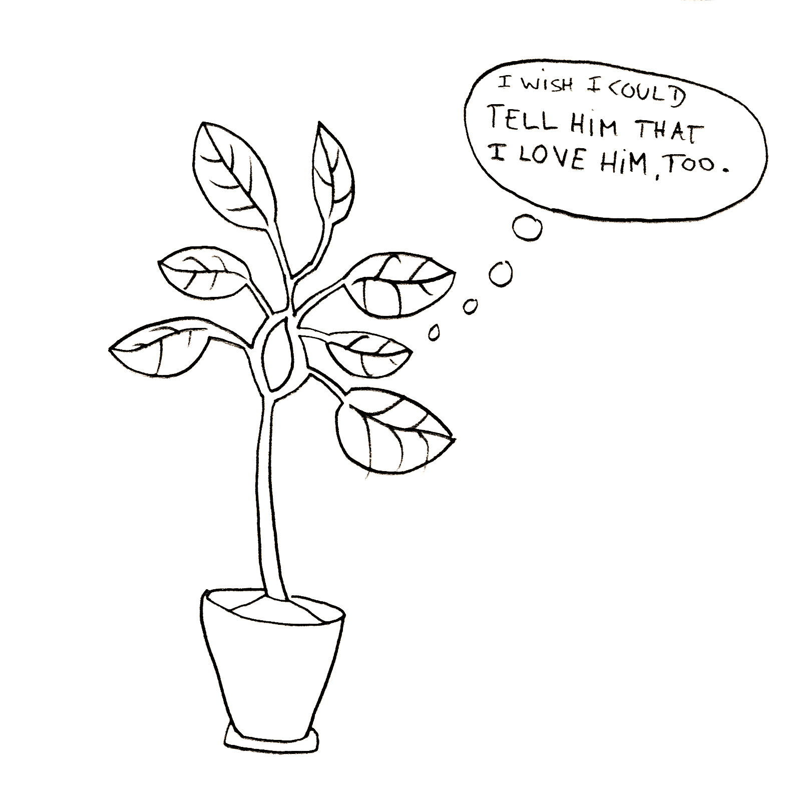 Frederik Busch - Mit Pflanzen sprechen